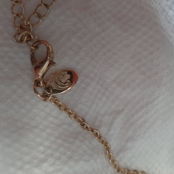 Charming Charlie Necklace - Picture 7 of 7